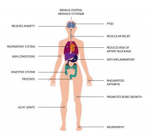 The Trusted Lab CBD - Trusted CBD oil with the best selection of lab-tested, potent and organic CBD oil, tinctures, gummies, soft-gels and creams made in America. Full Spectrum CBD. Broad Spectrum CBD. All natural. Free Shipping. Wholesale CBD.