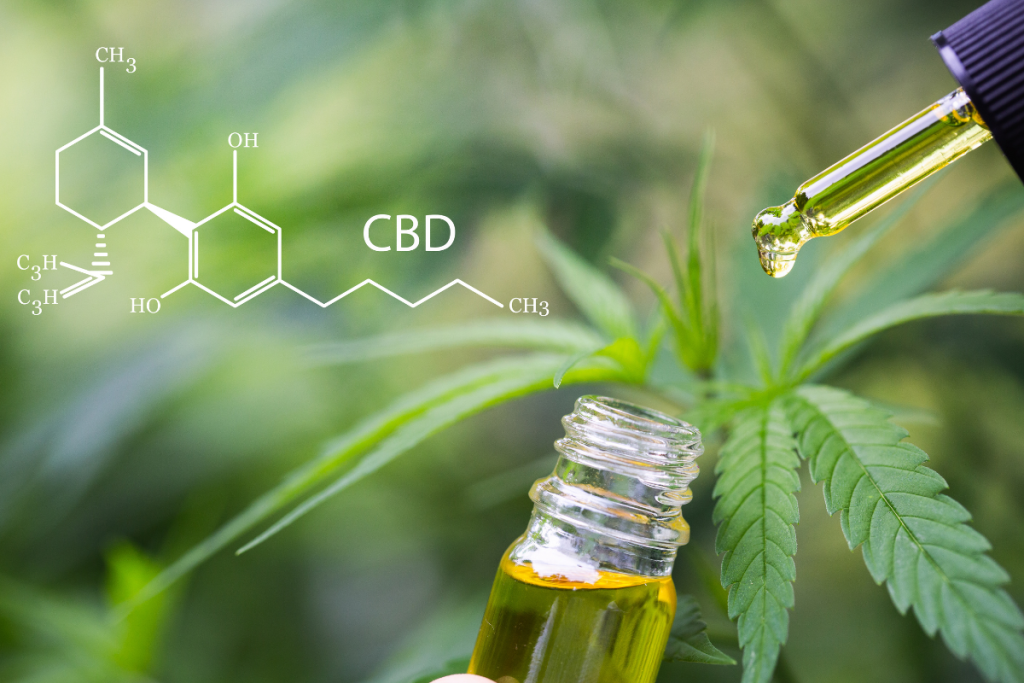 CBD Cannabinoid oil