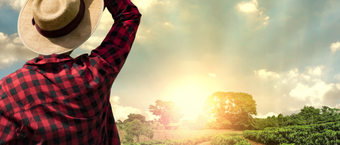 The Trusted Lab CBD - Trusted CBD oil with the best selection of lab-tested, potent and organic CBD oil, tinctures, gummies, soft-gels and creams made in America. Full Spectrum CBD. Broad Spectrum CBD. All natural. Free Shipping. Wholesale CBD.