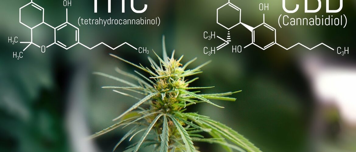 The Trusted Lab CBD - Trusted CBD oil with the best selection of lab-tested, potent and organic CBD oil, tinctures, gummies, soft-gels and creams made in America. Full Spectrum CBD. Broad Spectrum CBD. All natural. Free Shipping. Wholesale CBD.