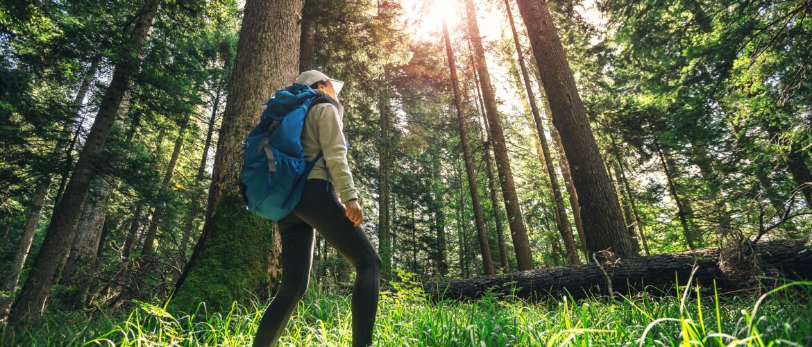 The Trusted Lab CBD - Trusted CBD oil with the best selection of lab-tested, potent and organic CBD oil, tinctures, gummies, soft-gels and creams made in America. Full Spectrum CBD. Broad Spectrum CBD. All natural. Free Shipping. Wholesale CBD.