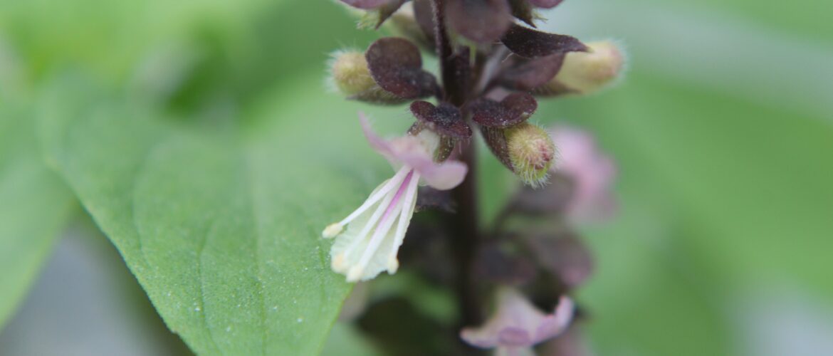 The Trusted Lab CBD - Trusted CBD oil with the best selection of lab-tested, potent and organic CBD oil, tinctures, gummies, soft-gels and creams made in America. Full Spectrum CBD. Broad Spectrum CBD. All natural. Free Shipping. Wholesale CBD.