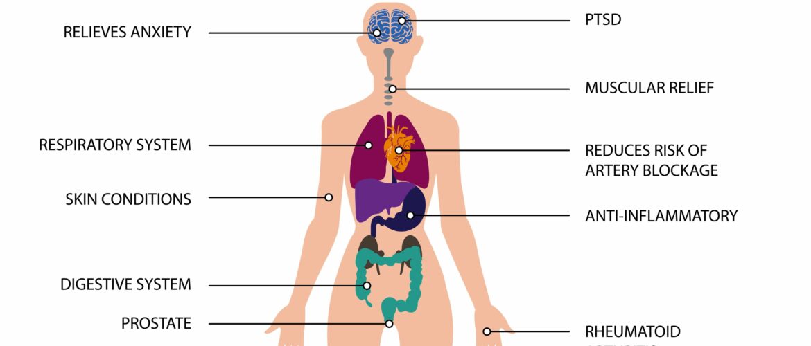 The Trusted Lab CBD - Trusted CBD oil with the best selection of lab-tested, potent and organic CBD oil, tinctures, gummies, soft-gels and creams made in America. Full Spectrum CBD. Broad Spectrum CBD. All natural. Free Shipping. Wholesale CBD.