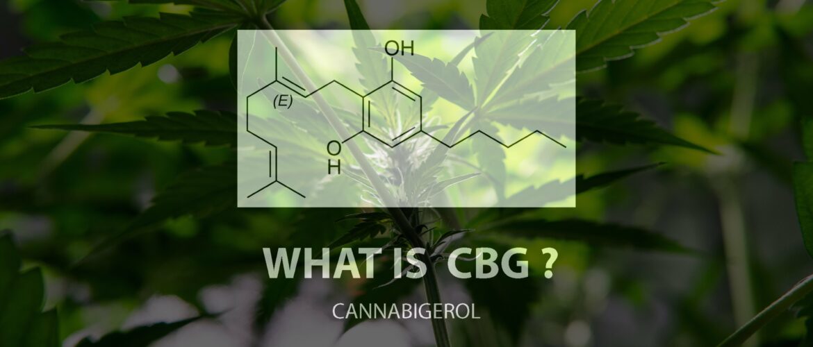 The Trusted Lab CBD - Trusted CBD oil with the best selection of lab-tested, potent and organic CBD oil, tinctures, gummies, soft-gels and creams made in America. Full Spectrum CBD. Broad Spectrum CBD. All natural. Free Shipping. Wholesale CBD.