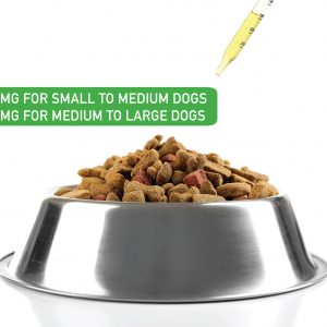 PET DOG BOWL