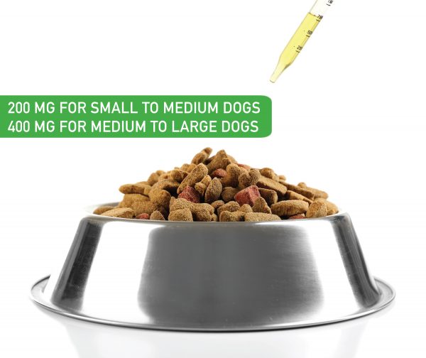 PET DOG BOWL