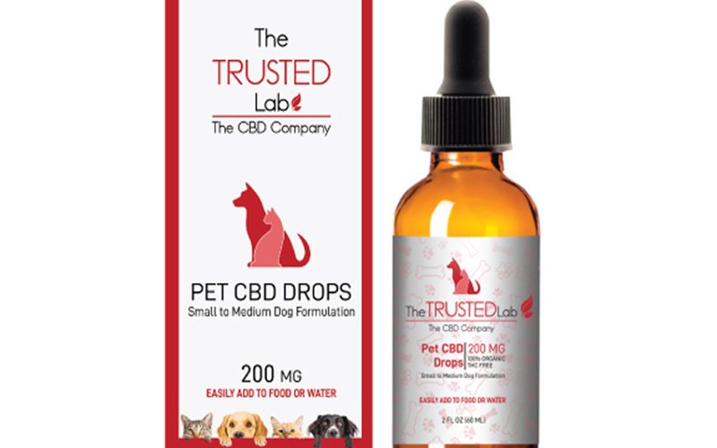 CBD FOR SMALL DOGS