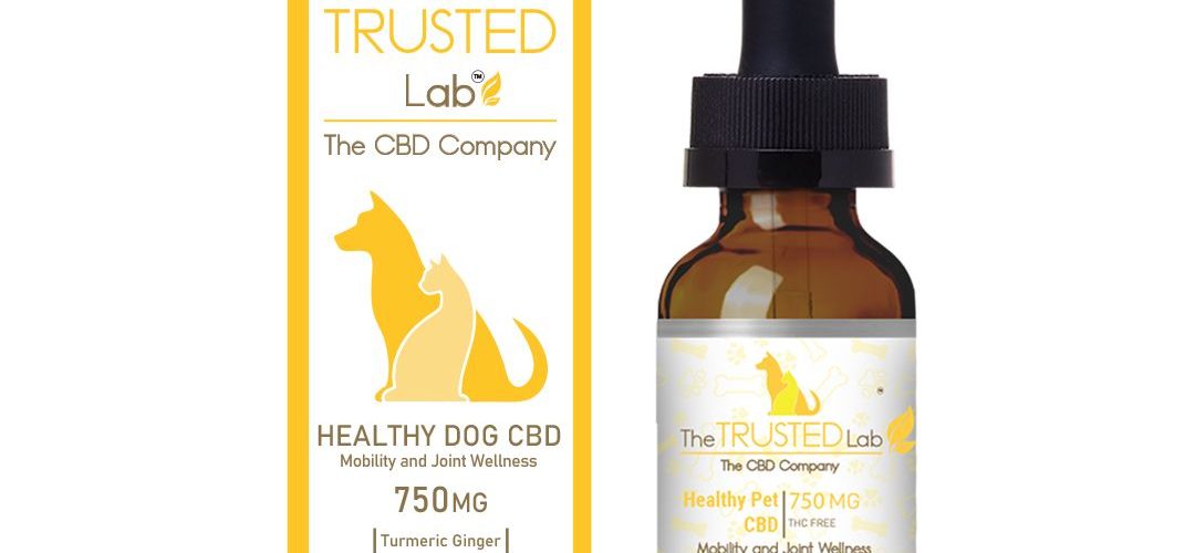 Dog CBD oil with Turmeric and Ginger