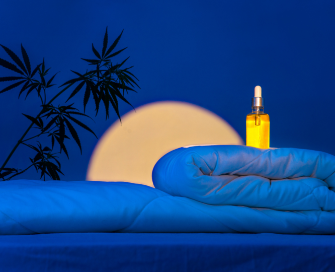 cbd oil in the bed