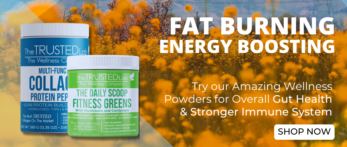 SPRING FITNESS MINI BANNER