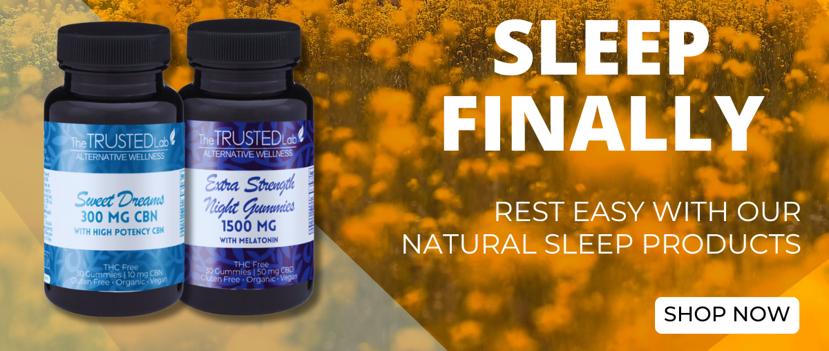 SPRING SLEEP - MINI BANNER