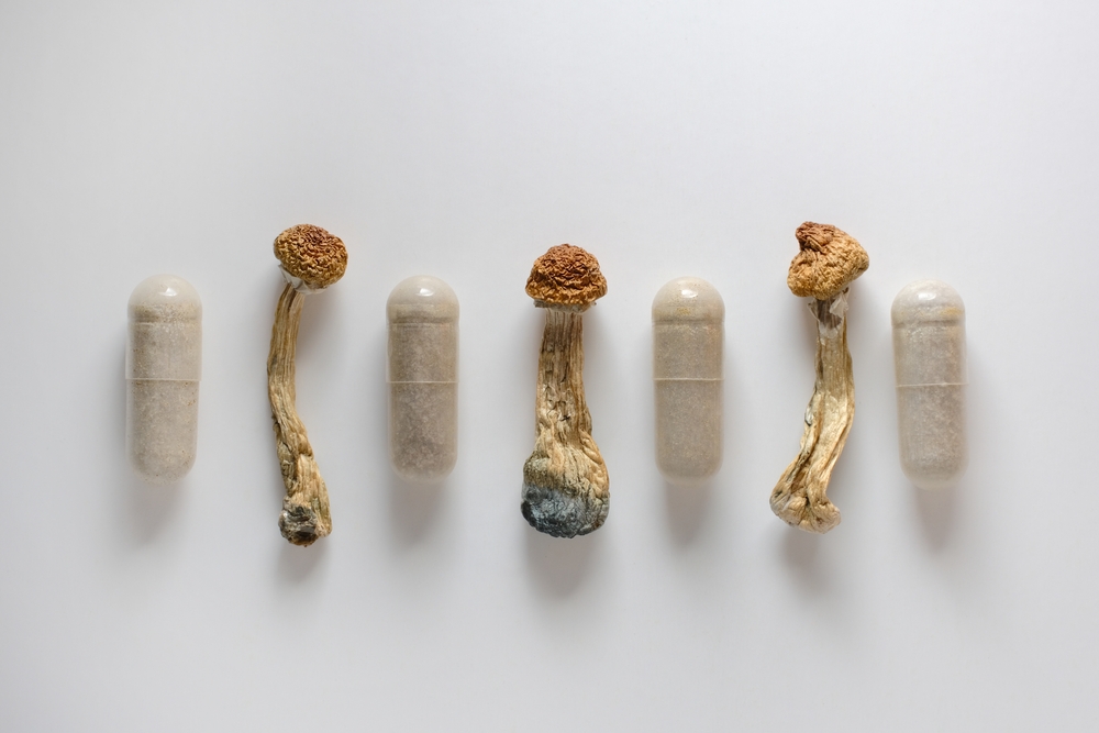 Psychedelic mushroom capsules for microdosing