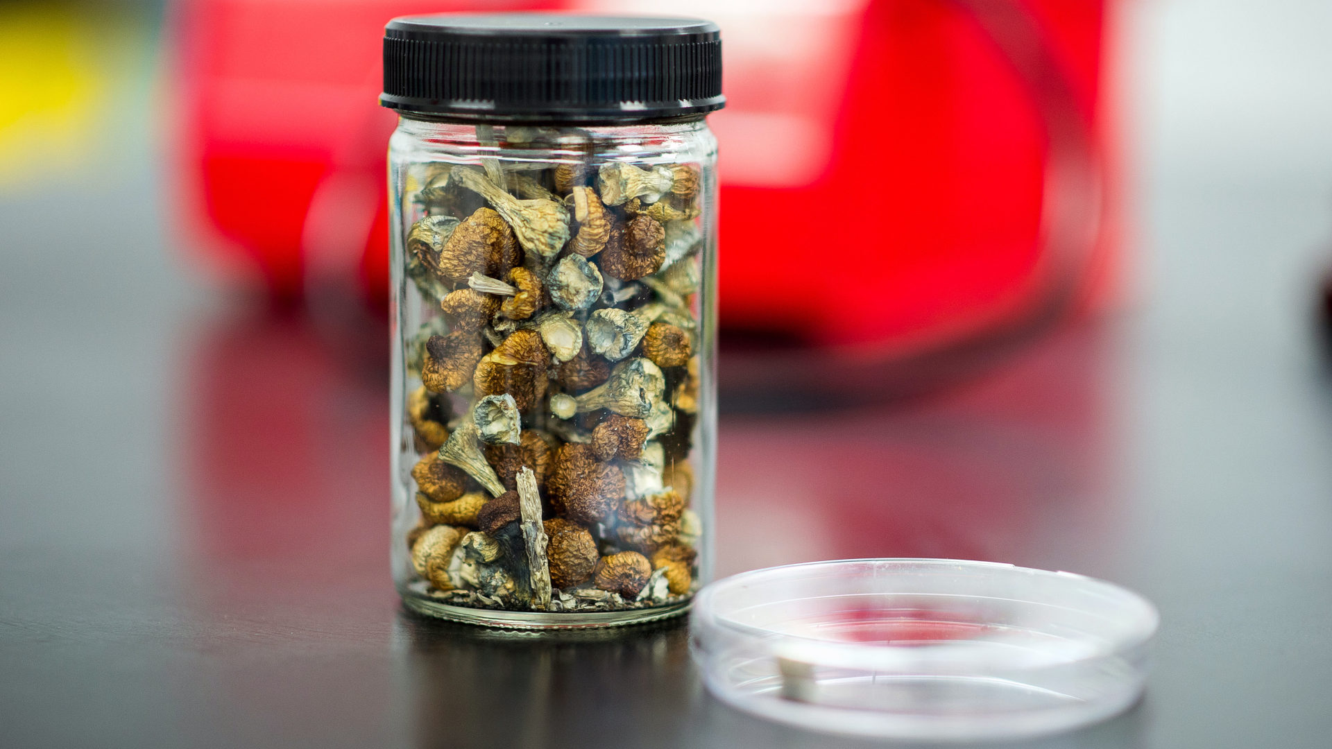 a bottle of magic mushrooms used for microdosing