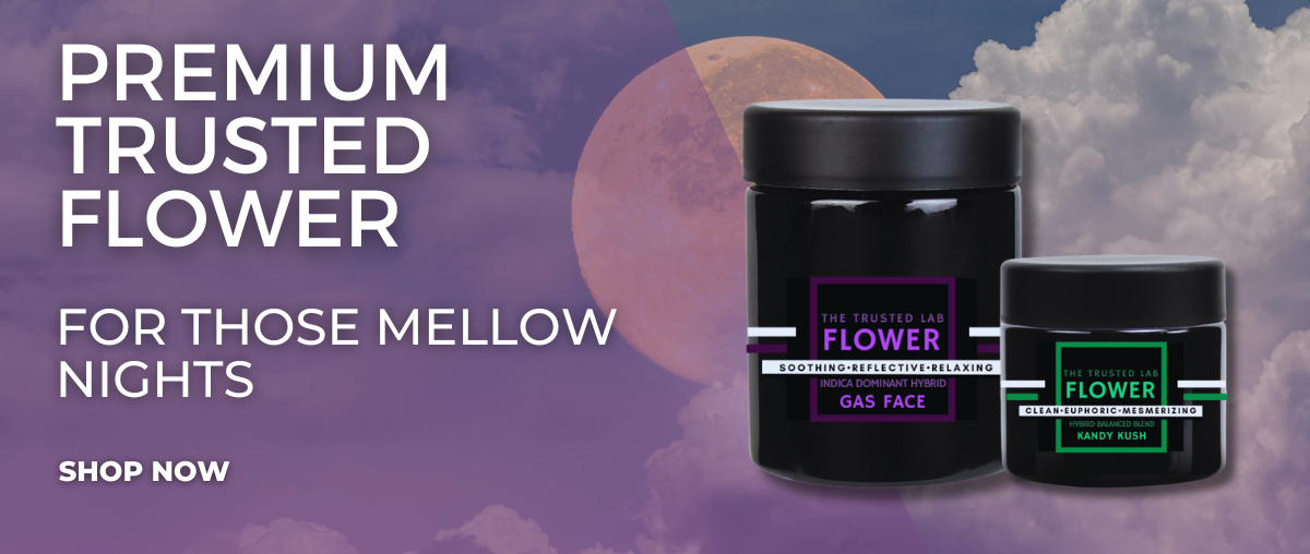 MINI BANNER - FLOWER JULY SLEEP