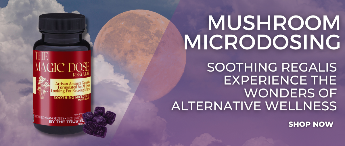 MINI BANNER - MUSHROOM MICRODOSING JULY 2025