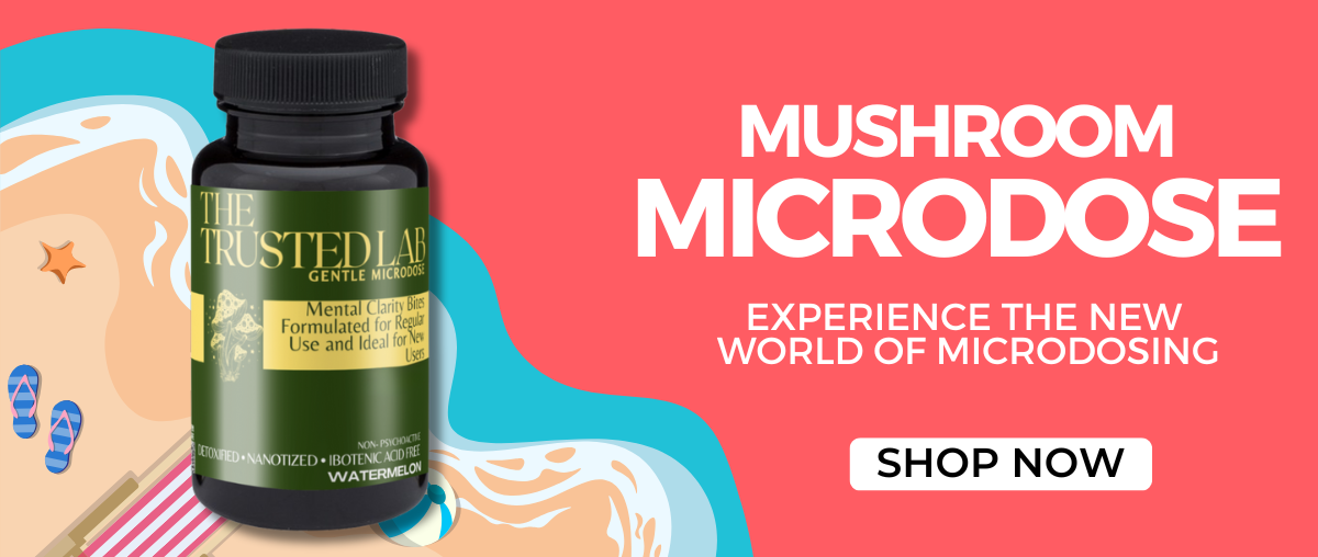 _MUSHROOM SUMMER DEALS JULY 2025