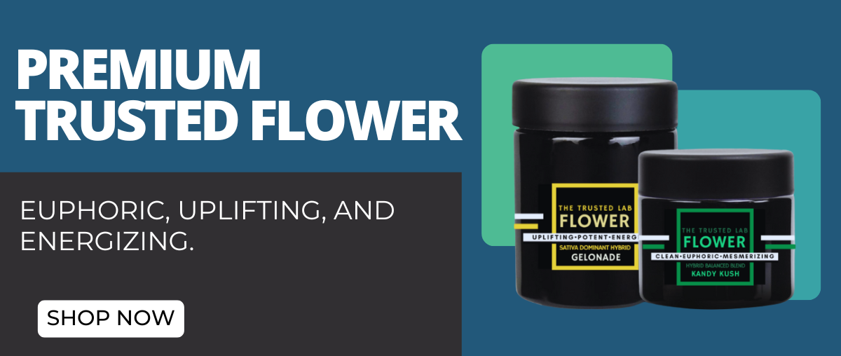 LR FLOWER - MINI BANNER