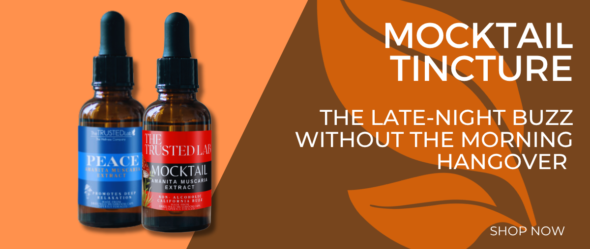 MINI BANNER - MOCKTAIL TINCTURE 1.2