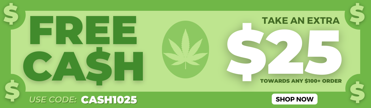 125 FREE CASH SALE NOV2025 - SALE BANNER (3)