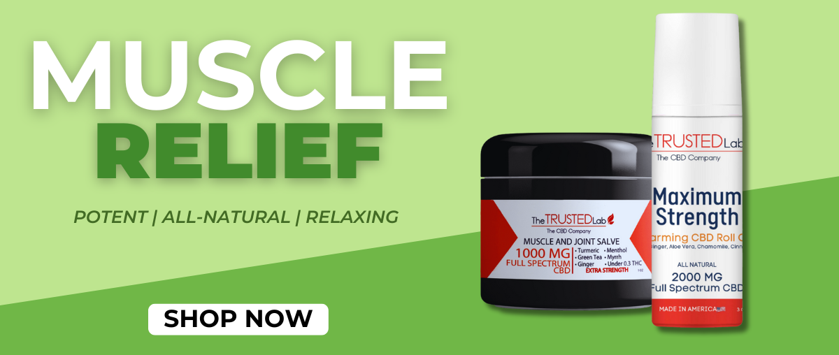 CASH SALE MINI BANNER SALVE