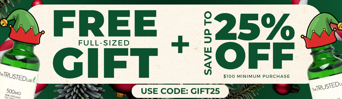 SALE BANNER CHRISTMAS 2025 (1) SALE BANNER CHRISTMAS 2025 (1)