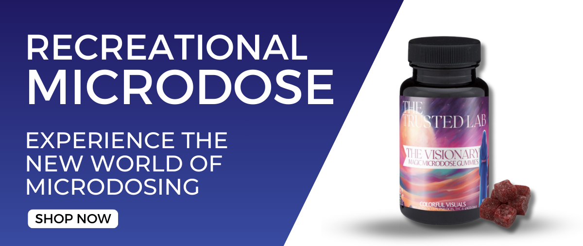 MLK SALE MINI BANNER MICRODOSE 2026