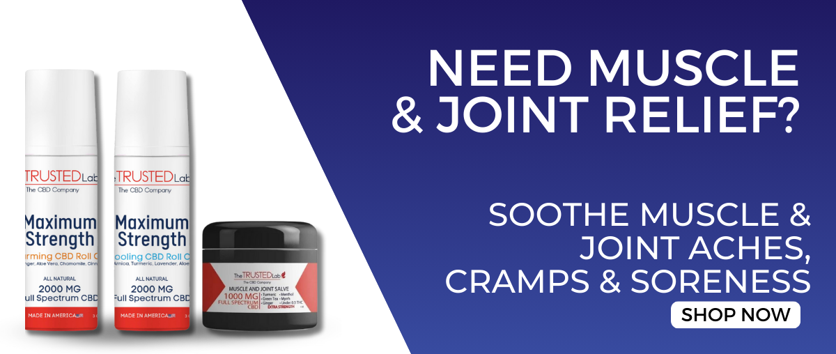 MLK SALE SALVES 2026