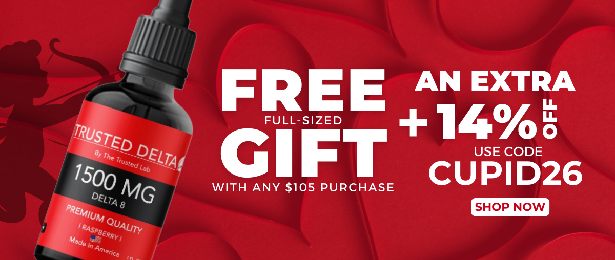 NEW SALE BANNER VDAY